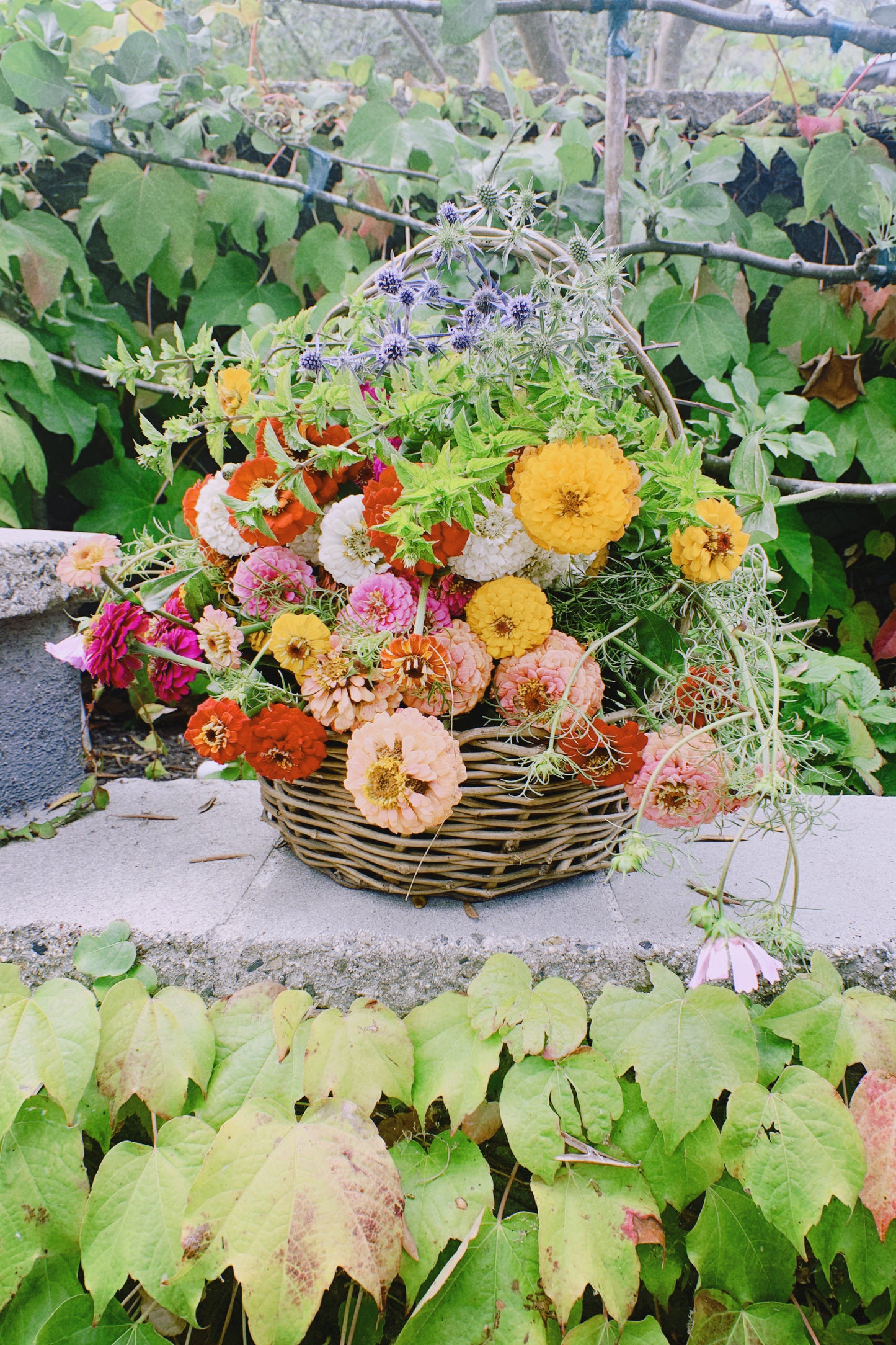 Basket Deposit