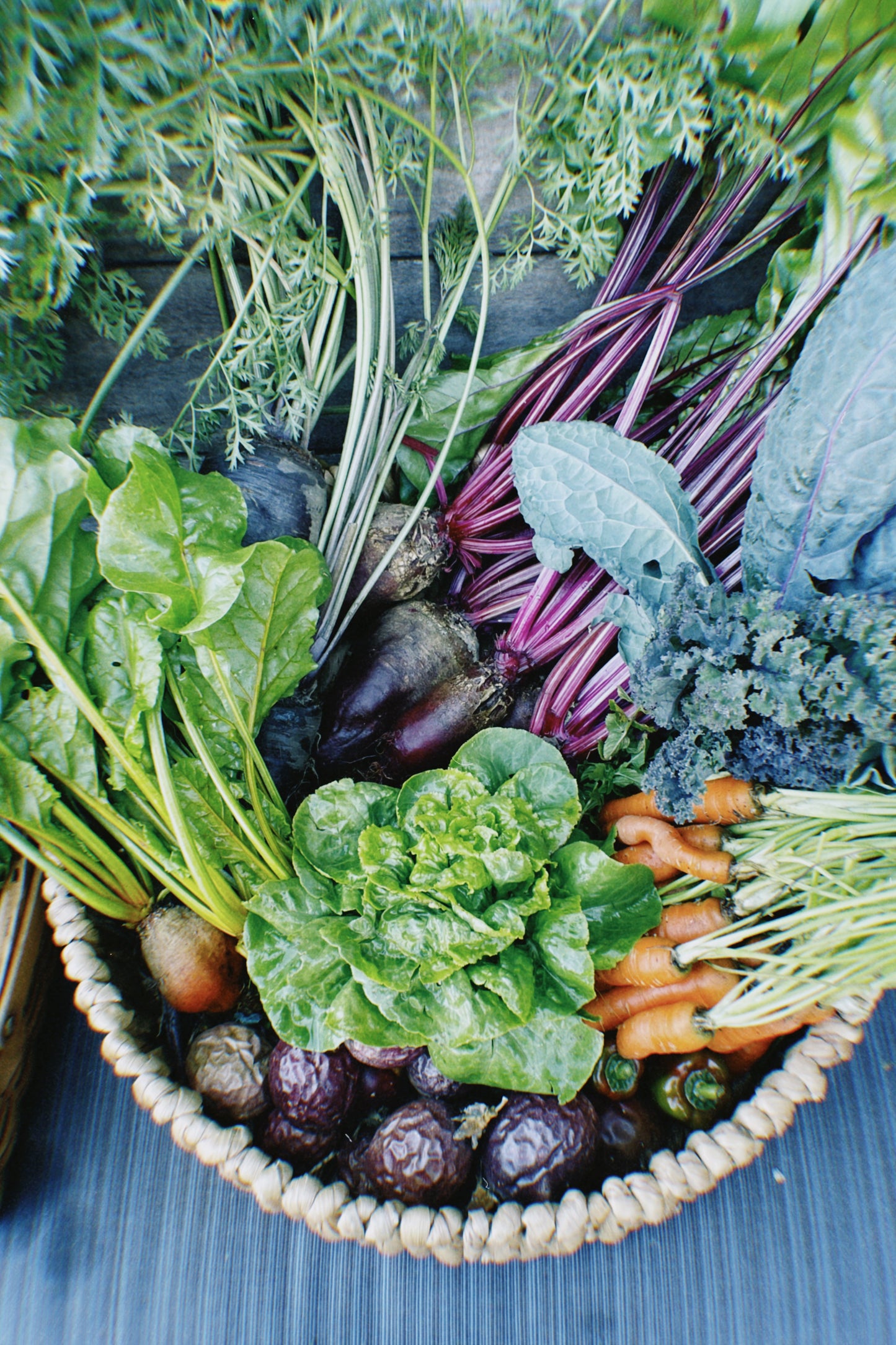 Produce Only Bluebird Basket