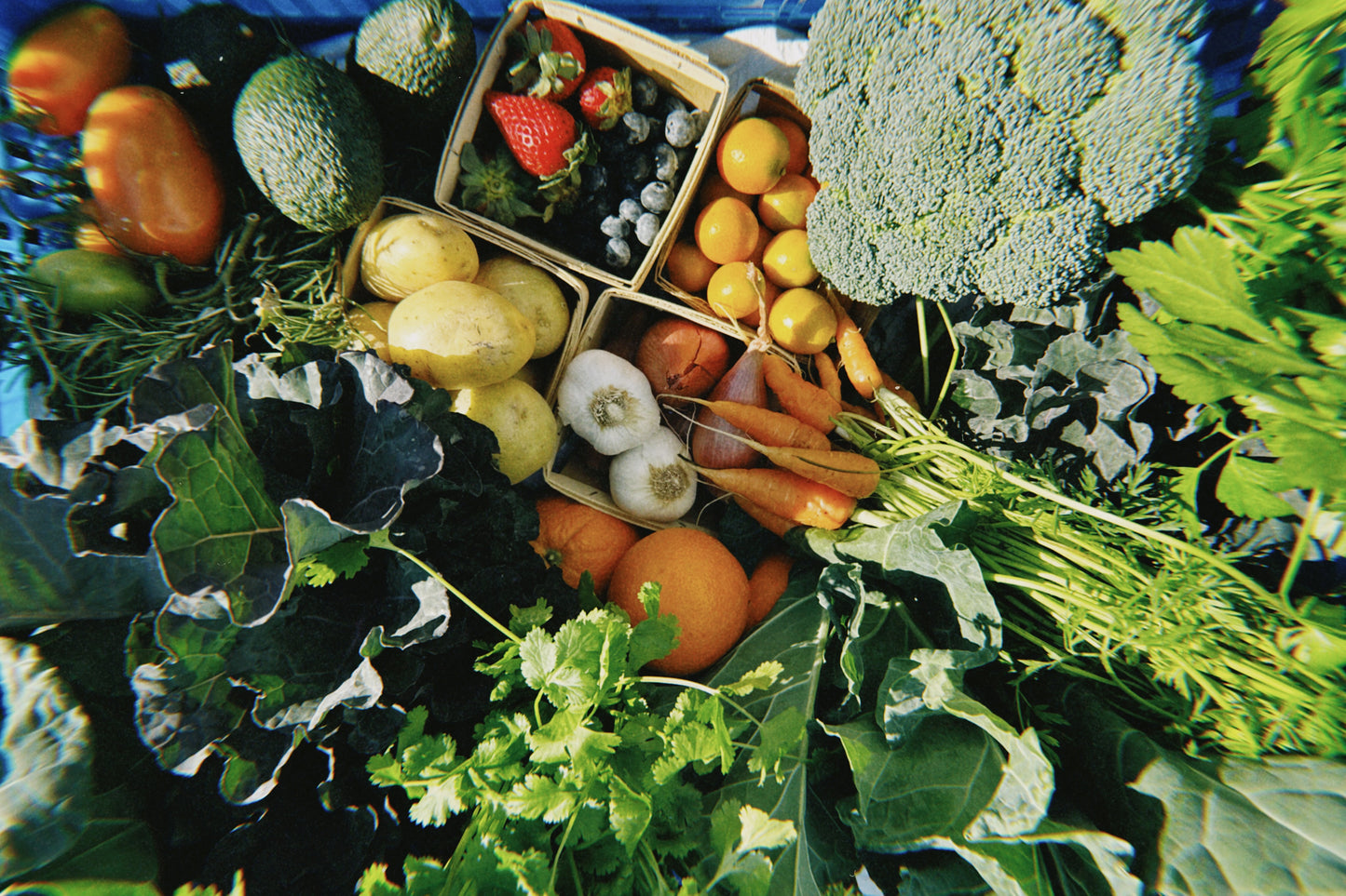 Produce Only Bluebird Basket