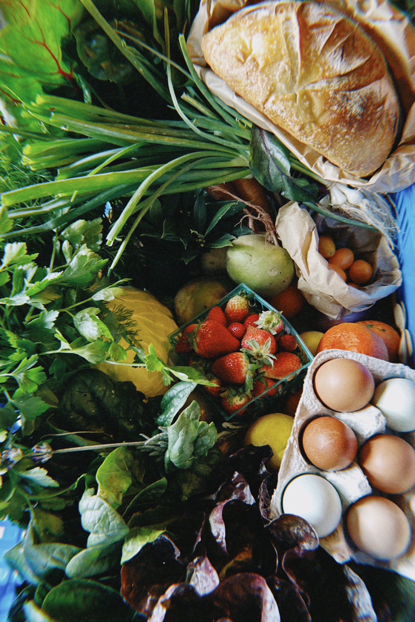 Bluebird Everything Basket