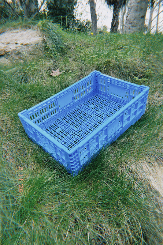 Family Basket Deposit